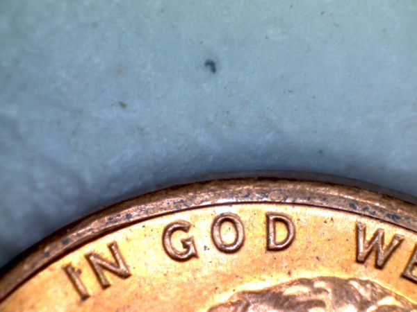 1982-D-Small-Date-1-Ddo-001?