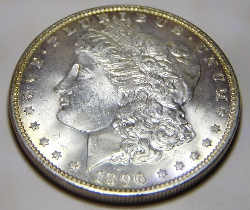 Grade-My-First-Morgan-1896-New-Pictures