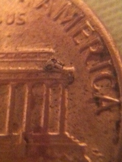 1983-Error-Penny?