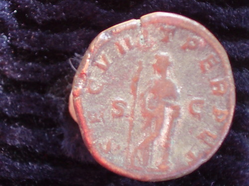 Roman-Failure-To-Identify