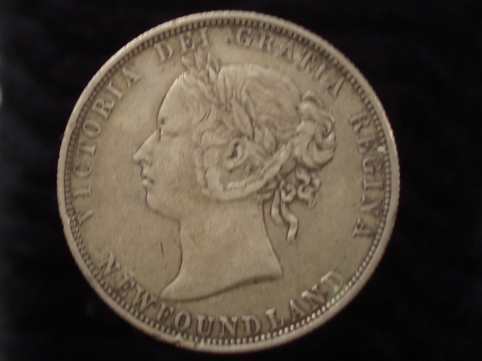 Grade-My-1888-Newfoundland-50cent