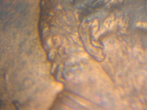 1997-LMC-DD-Ear