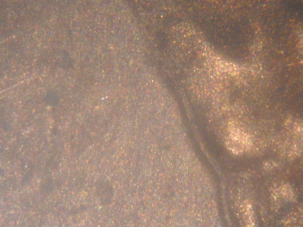 1984-LMC-DD-Back-Of--Head-?