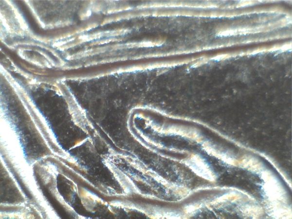 2009-DDR-Cent?-Need-Help-Please.