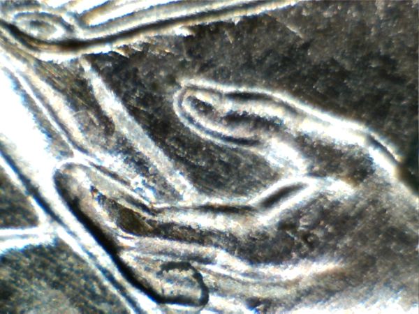 2009-Formative-Years-~-WDDR-010?