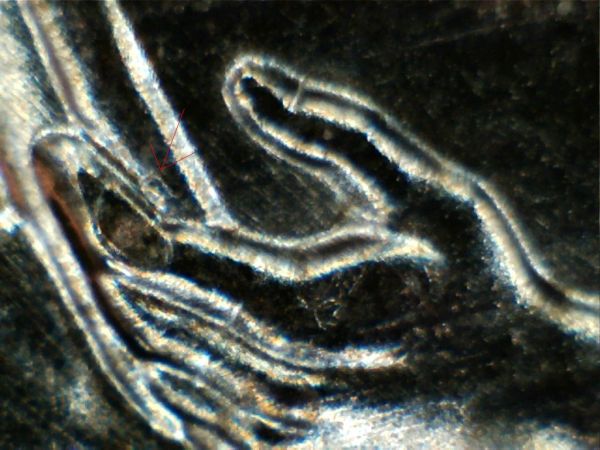 Need-Confirmation.-2009-Cent---WDDR-010-Again?