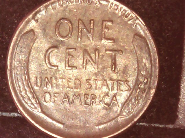 1955-Retained-Cud-And-Cracked-Skull?