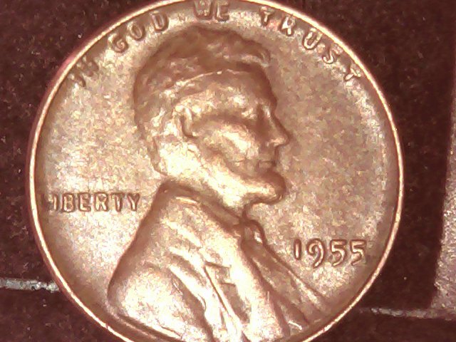 1955-Retained-Cud-And-Cracked-Skull?
