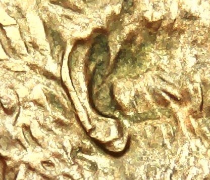 2008-Cent-Ear-Question