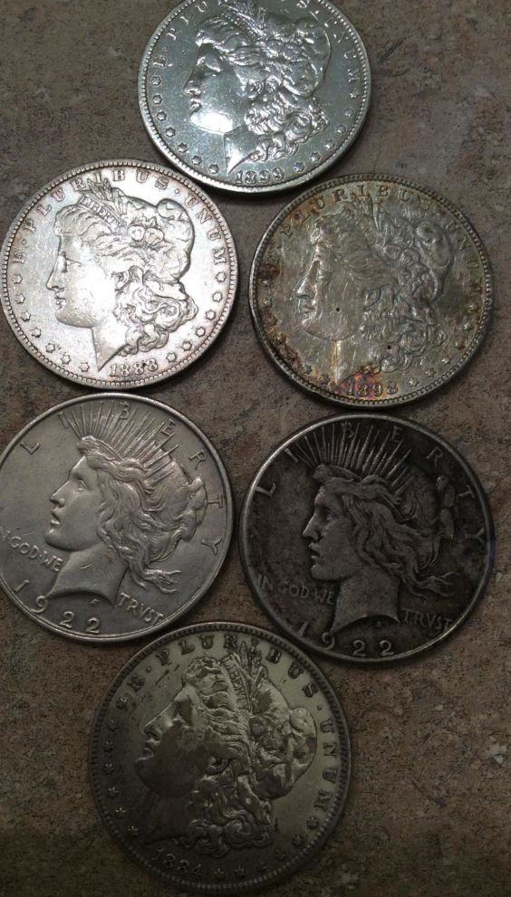 What-Grade-Are-These-Morgans-&-Peace