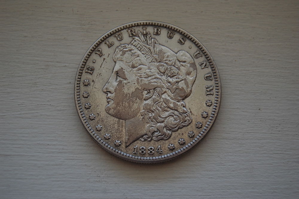 Please-Grade-These-Two-Morgans.