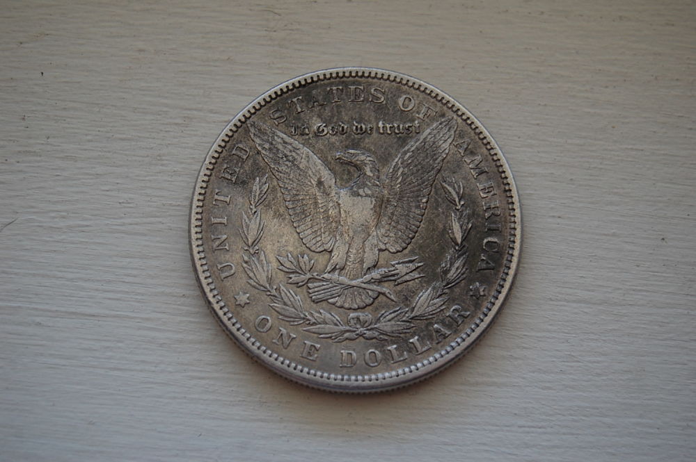 Please-Grade-These-Two-Morgans.