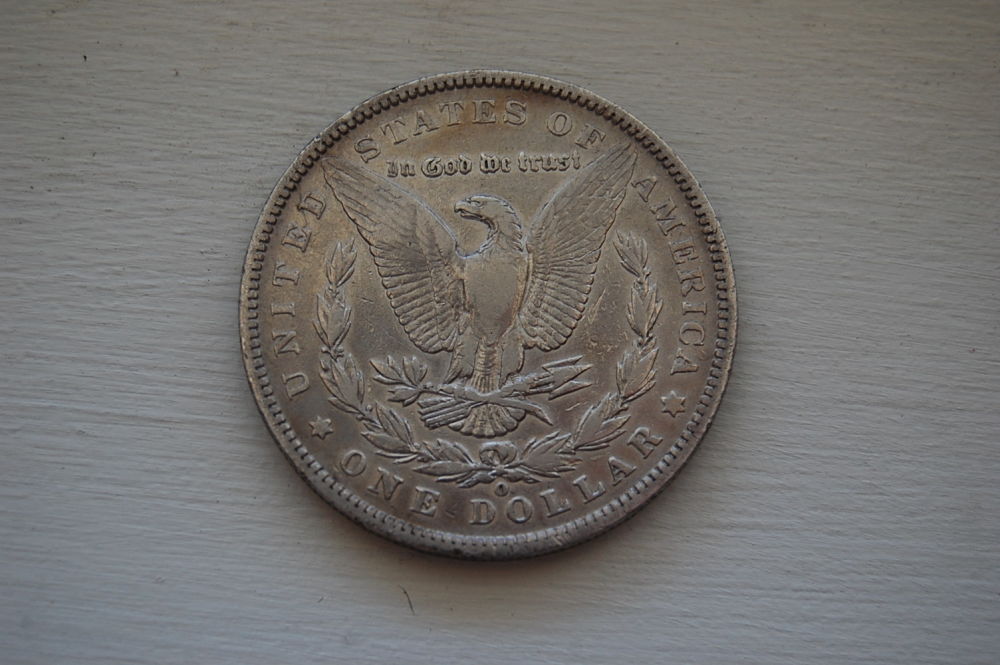 Please-Grade-These-Two-Morgans.