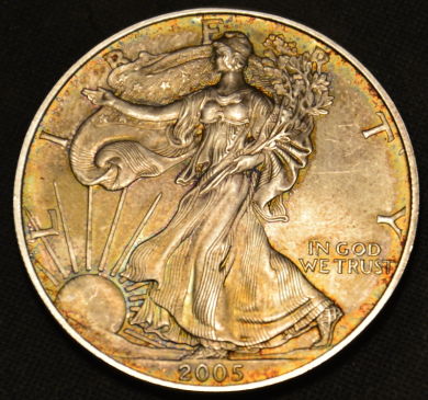 2005-Silver-Eagle-Collar-Error?-Newbie-Here
