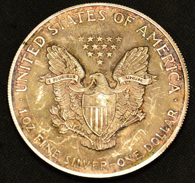 2005-Silver-Eagle-Collar-Error?-Newbie-Here