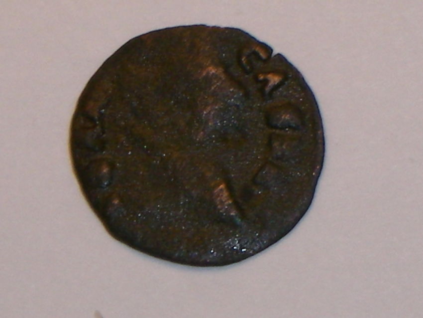 Please-Help-With-Iding!-Thanks-In-Advance-For-Looking-:
