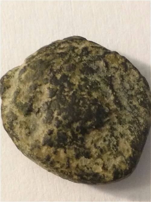 Need-Help-Iding-Greek-Horse-Coin