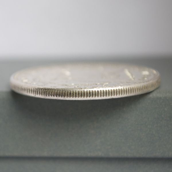 1884-P-Morgan---Grade?-Fake?