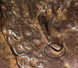 1984-Lincoln-Double-Ear?