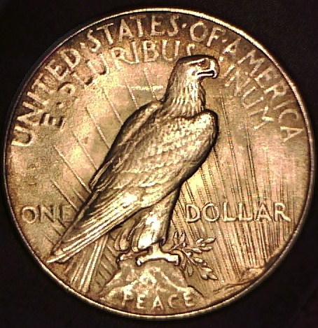 1925-Peace-Dollar-VAM-6A-Polishing-Lines-&-Doubled-Rays