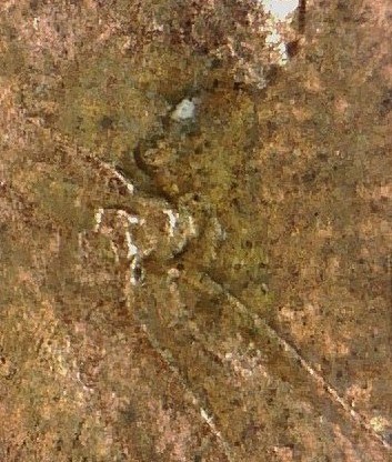1984-Lincoln-Cent-Double-Ear