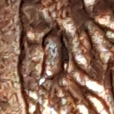 2006-One-Cent-Die-Chip/Crack-Back-Of-Lincolns-Head