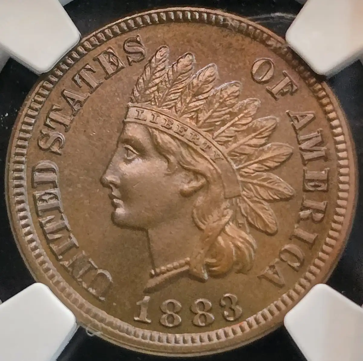 Progression-Of-My-1883-Proof-Set-No-Gold
