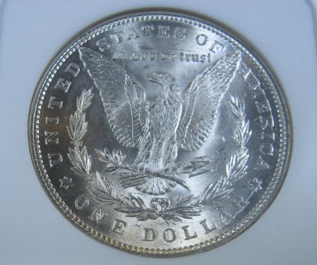 Continuing-List-To-Show-Everyones-Latest-Acquisitions