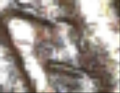 I-Need-Some-Opinions-On-A-1955-S-Lincoln's-Cent-Penny-Please