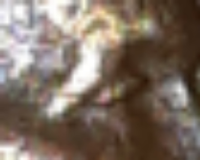 I-Need-Some-Opinions-On-A-1955-S-Lincoln's-Cent-Penny-Please