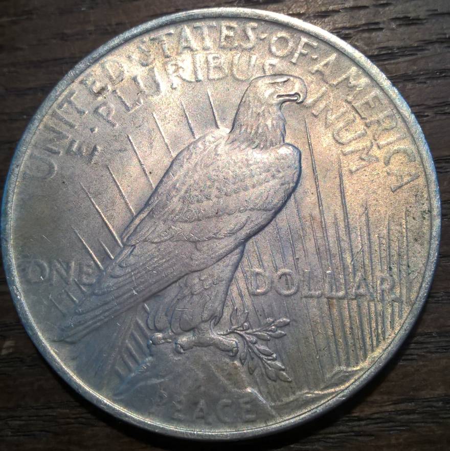 1923-Peace-Dollar-For-Grading