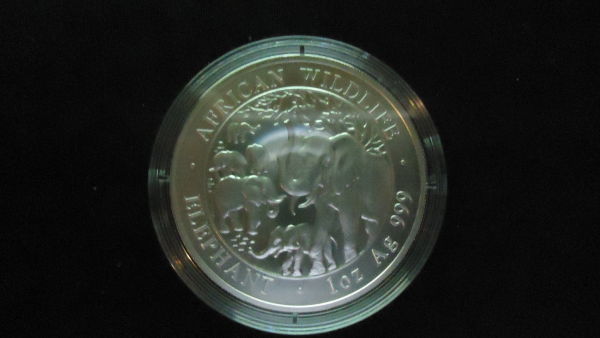Somalia-Elephant-Silver-And-Gold-Coins-Anyone?
