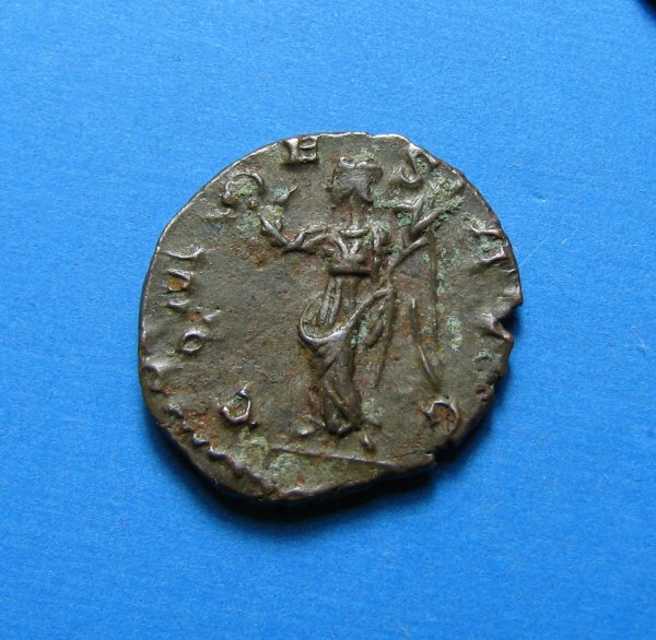 Aureolus