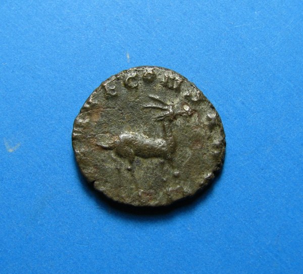 Aureolus