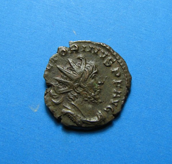 Aureolus