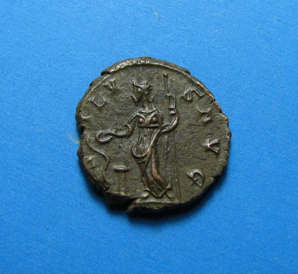 Aureolus