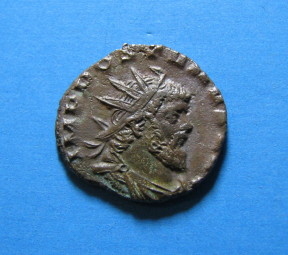 Aureolus