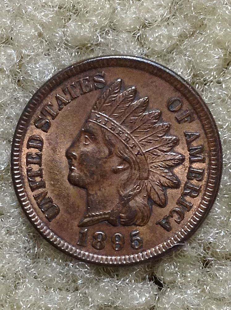 1895-IHC