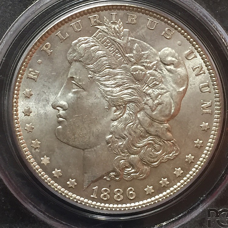 1886-Morgan-Dollar---You-Vs-PCGS-#3