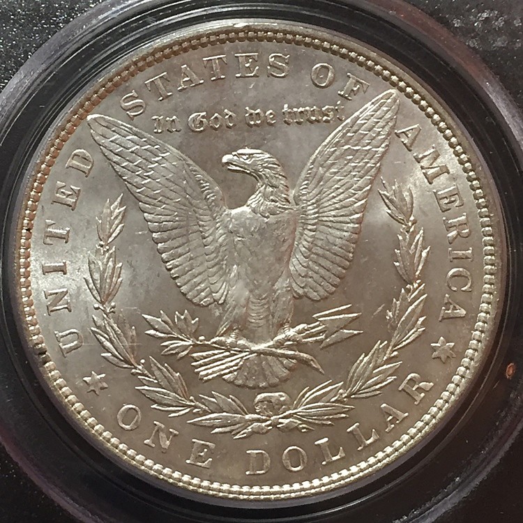 1886-Morgan-Dollar---You-Vs-PCGS-#3
