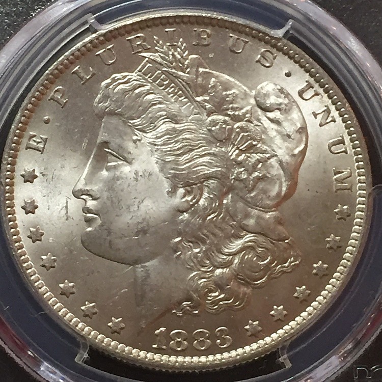 1883-O-Morgan-Dollar---You-Vs-PCGS-#4