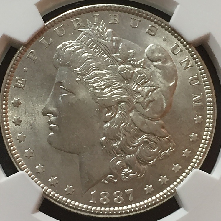 1887-Morgan-Dollar---You-Vs-NGC-#6