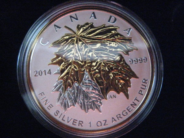 Post-Your-Favorite-Numismatic-Purchases-Of-2013!