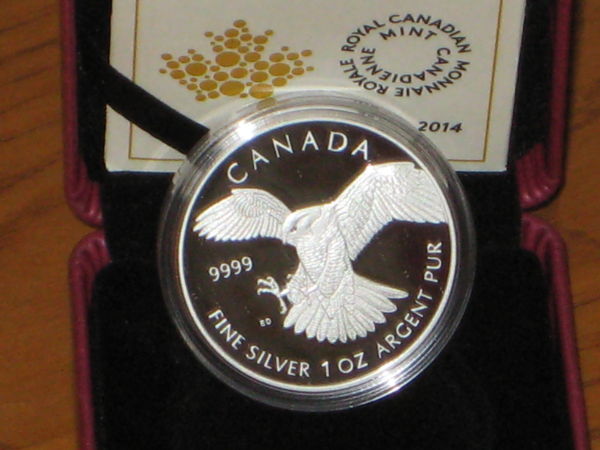 2014-Peregrine-Falcon-Nice-COA-71/20000