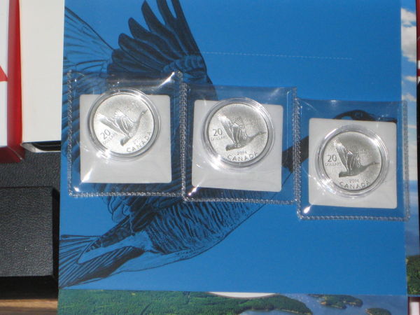 My-NCLT-Collection