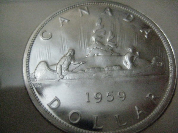 My-NCLT-Collection