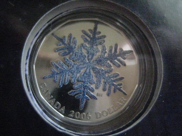 My-NCLT-Collection
