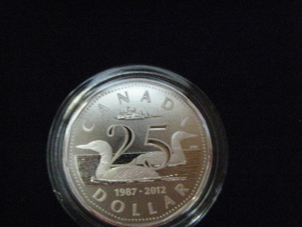 My-NCLT-Collection