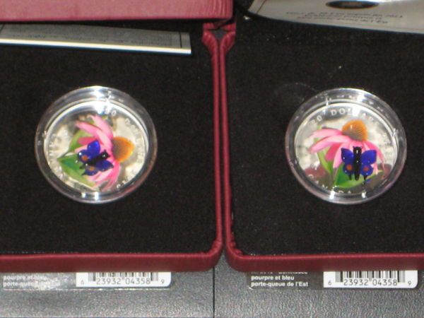 My-NCLT-Collection
