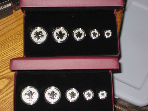 My-NCLT-Collection